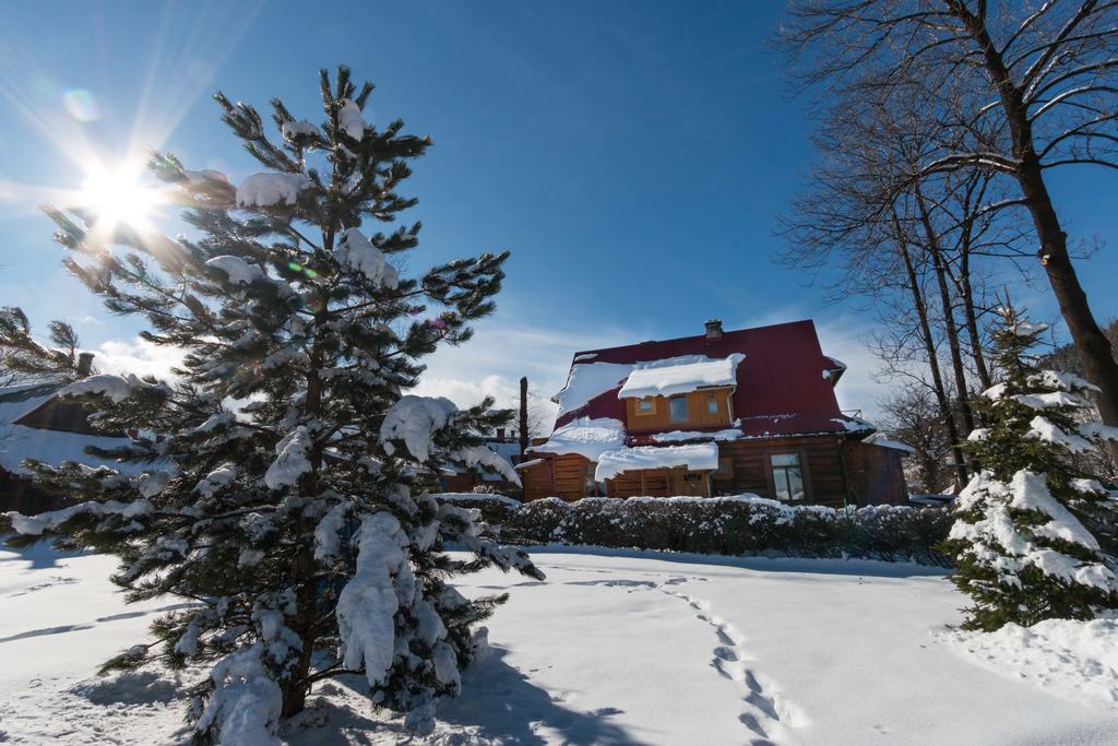 Apartament Parzenica Zakopane Ngoại thất bức ảnh